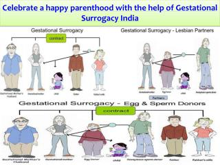 IVF Treatment in India