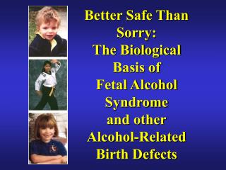 Better Safe Than Sorry: The Biological Basis of Fetal Alcohol Syndrome and other Alcohol-Related Birth Defects