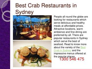 Best Crab Restaurants in Sydney