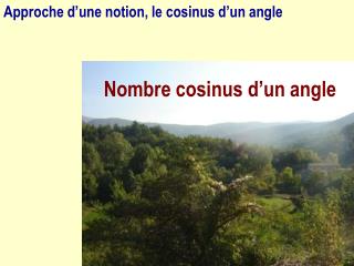 Nombre cosinus d’un angle
