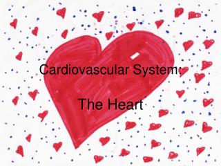 Cardiovascular System: