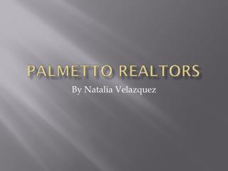 Palmetto realtors