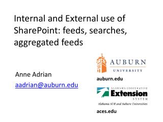 Internal and External use of SharePoint: feeds, searches, aggregated feeds
