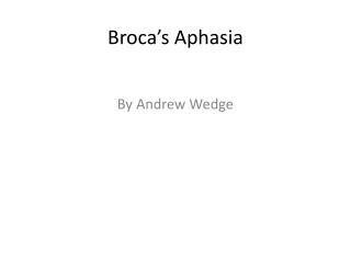 Broca’s Aphasia