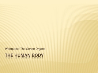 The human body