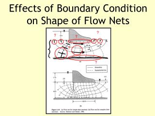 Effects of Boundary Condition on Shape of Flow Nets