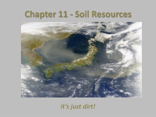 Chapter 11 - Soil Resources