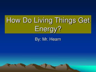 How Do Living Things Get Energy?