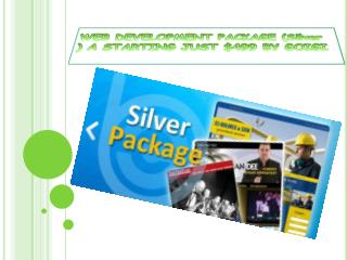 WEB DEVELOPMENT PACKAGE (Silver