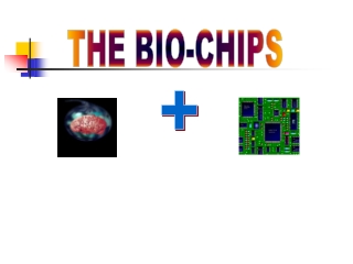 THE BIO-CHIPS