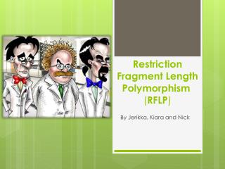 restriction fragment length polymorphism