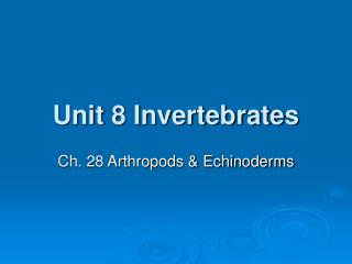 Unit 8 Invertebrates