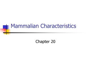 Mammalian Characteristics