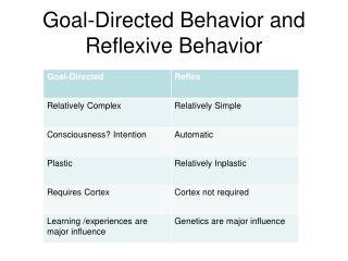 Goal-Directed Behavior and Reflexive Behavior