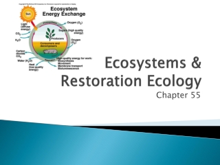 Ecosystems & Restoration Ecology