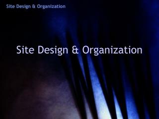 Site Design & Organization