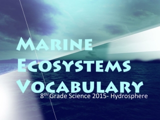 Marine Ecosystems Vocabulary