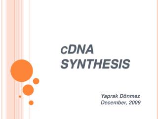 cDNA SYNTHESIS