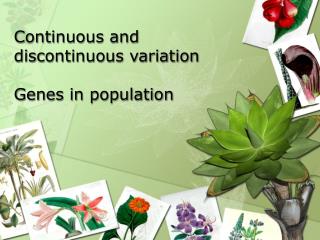 continuous discontinuous variation genes population