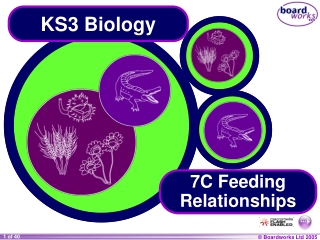 KS3 Biology