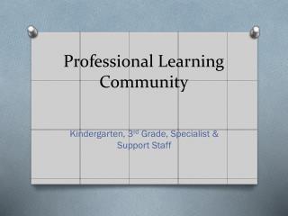 Professional Learning Community