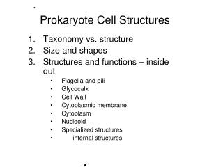 Prokaryote Cell Structures