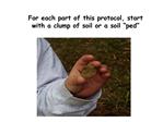 For each part of this protocol, start with a clump of soil or a soil ped