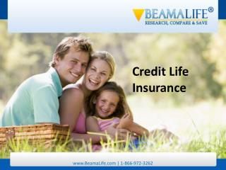 Credit Life Insurance