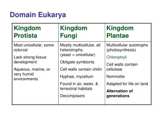 PPT - Domain Eukarya PowerPoint Presentation, free download - ID:2976457