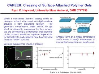 CAREER: Creasing of Surface-Attached Polymer Gels Ryan C. Hayward, University Mass Amherst, DMR 0747756