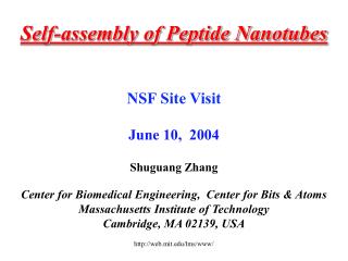Self-assembly of Peptide Nanotubes NSF Site Visit June 10, 2004 Shuguang Zhang