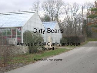 Dirty Beans