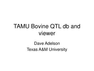 TAMU Bovine QTL db and viewer