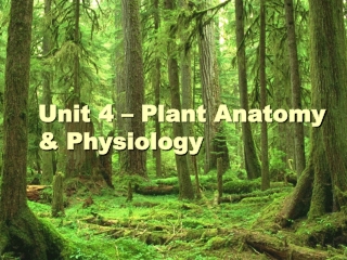 Unit 4 – Plant Anatomy & Physiology