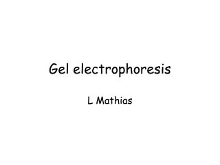 Gel electrophoresis