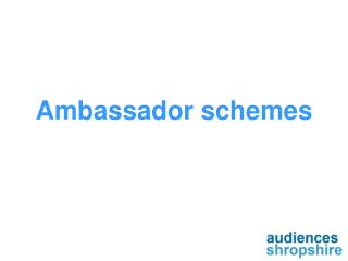 Ambassador schemes