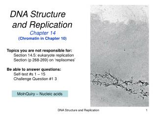 DNA Structure and Replication Chapter 14 (Chromatin in Chapter 10)