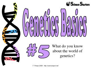 PPT - Genetics Basics PowerPoint Presentation, Free Download - ID:2992056