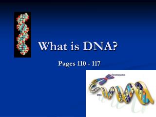 What is DNA?