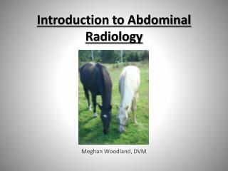 Introduction to Abdominal Radiology
