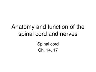 Anatomy and function of the spinal cord and nerves