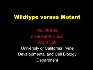 Wildtype versus Mutant