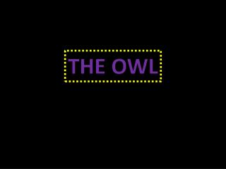 The owl