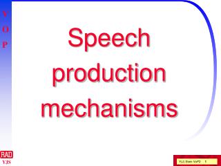 Speech production mechanisms