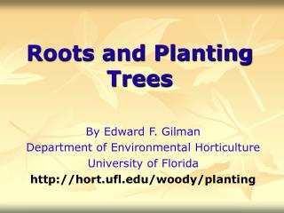 Roots and Planting Trees