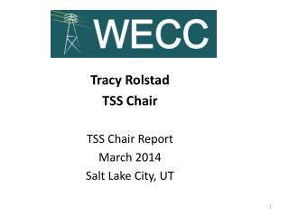 Tracy Rolstad TSS Chair TSS Chair Report March 2014 Salt Lake City, UT