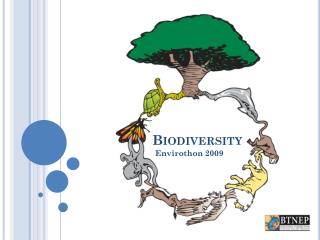 PPT - Biodiversity PowerPoint Presentation, Free Download - ID:3004635