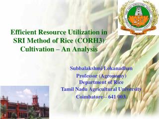 Efficient Resource Utilization in SRI Method of Rice (CORH3) Cultivation – An Analysis