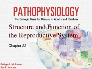 Structure and Function of the Reproductive System