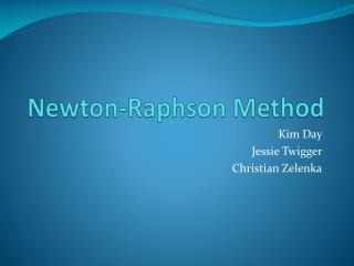 newton raphson method blacksholes